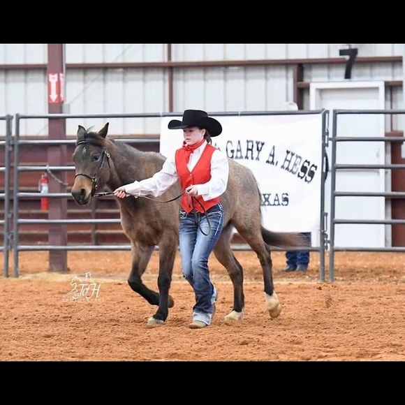 Meet your Posher, Breyer - Picture 2 of 10